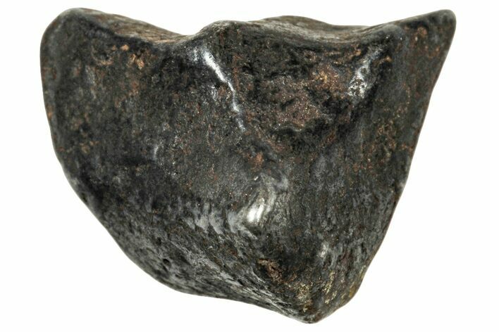 Agoudal Iron Meteorite ( g) - Morocco #303909